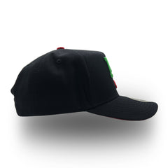 MX Republic La Tricolor "Premium Snapback Cap"